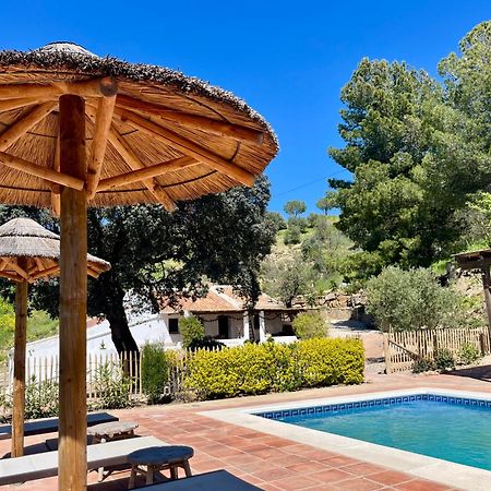 Finca El Sueno Andaluz Villanueva de la Concepción Esterno foto