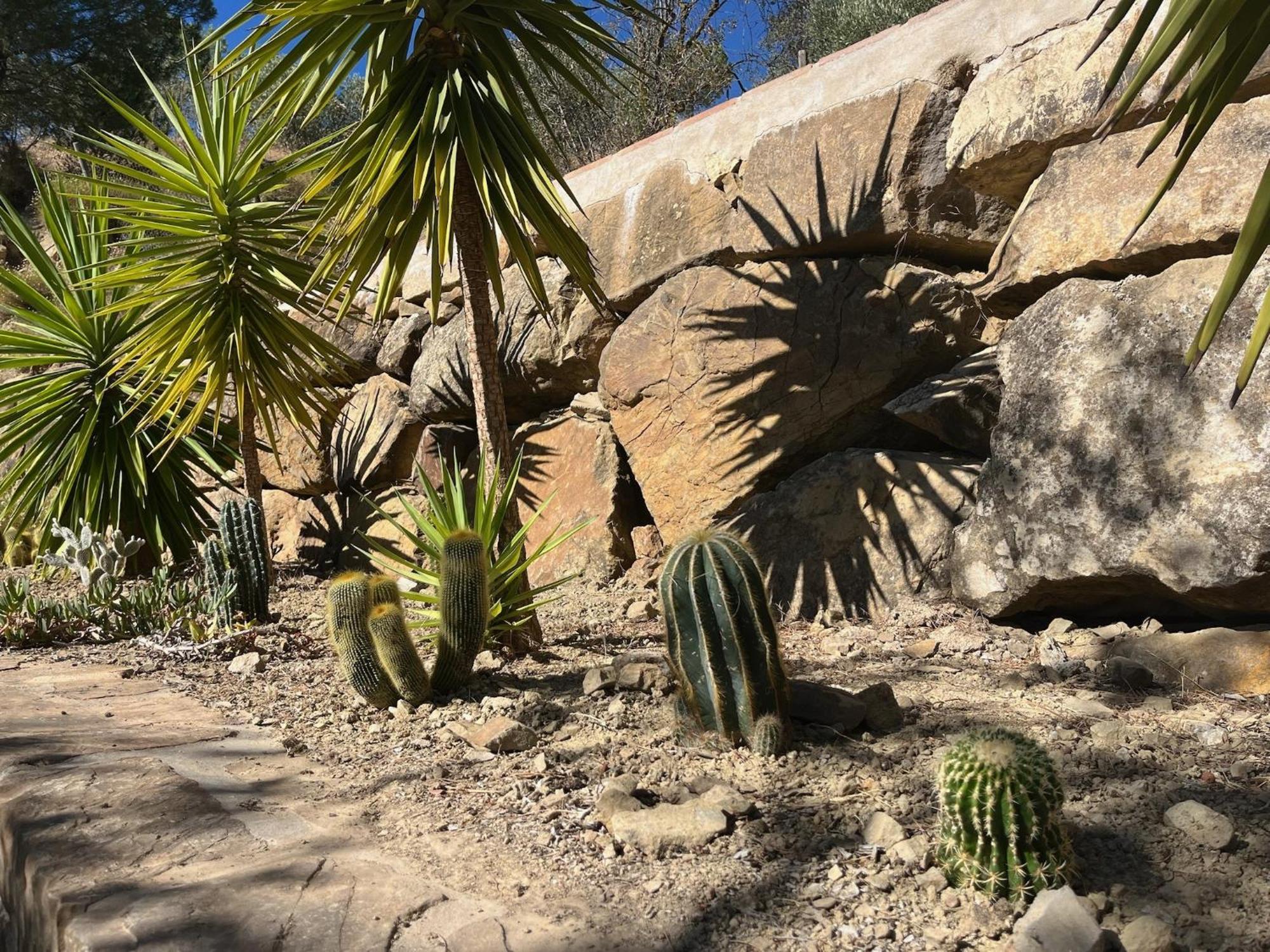 Finca El Sueno Andaluz Villanueva de la Concepción Esterno foto
