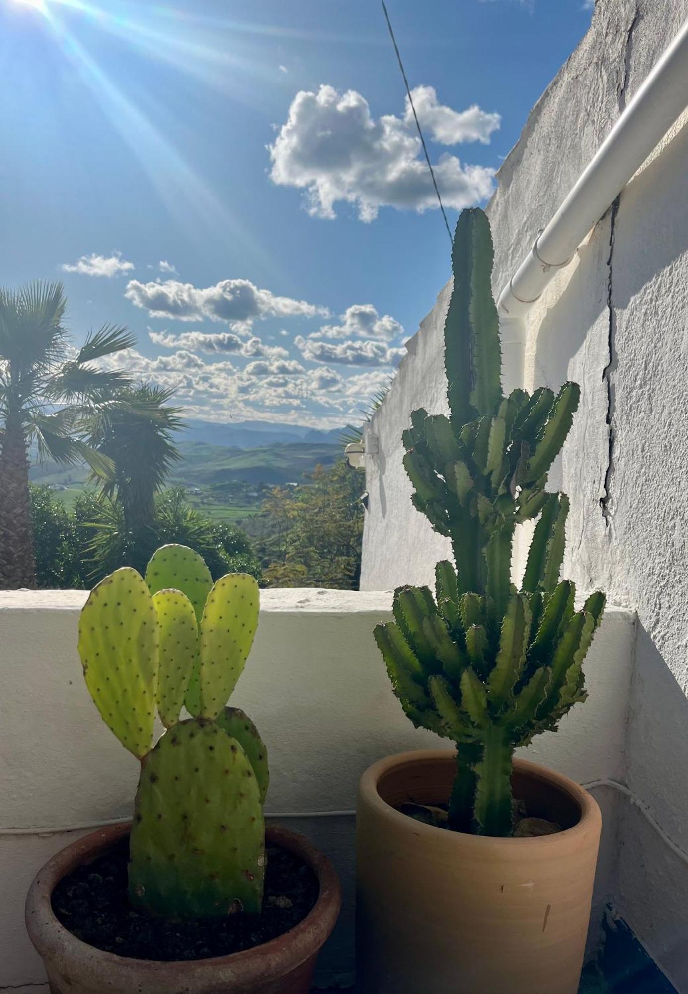 Finca El Sueno Andaluz Villanueva de la Concepción Esterno foto